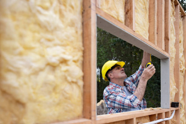 Best Spray Foam Insulation  in Untain View, MO